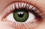 Glamour Green Colured Contact Lenses Online Hot Sale