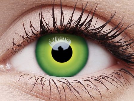 Hulk Contact Lenses Green Single Use Halloween Contacts on Sale