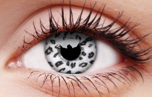 White Leopard Contact Lenses Fashion