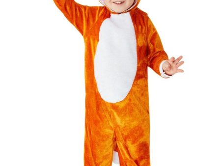 Orange Cat Toddlers Book Week Costume Fashion