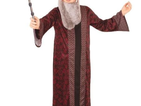 Professor Dumbledore Children s Book Week Harry Potter Costume Discount