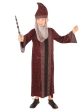 Professor Dumbledore Children s Book Week Harry Potter Costume Discount