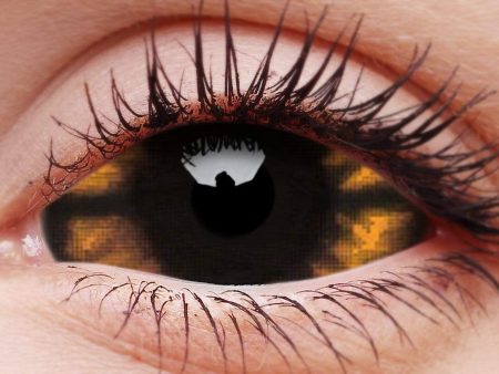 Morbius Contact Lenses Full Eye Online now