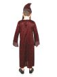 Professor Dumbledore Children s Book Week Harry Potter Costume Discount