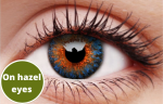 Blue Contact Lenses 5 Pairs True Blend Hot on Sale