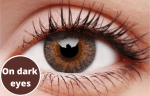 Grey Contact Lenses 5 Pairs True Blend For Cheap