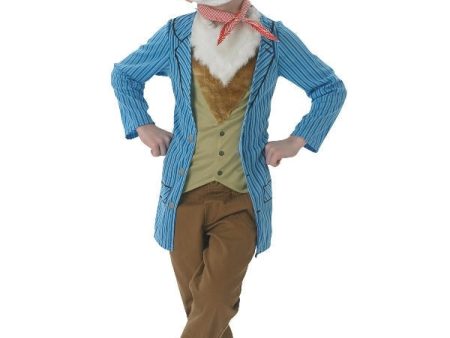 Fantastic Mr Fox Deluxe Costume for Boys For Sale