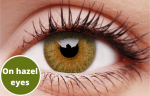 Hazel Contact Lenses 5 Pairs True Blend Discount