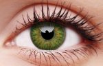 Green Contact Lenses 5 Pairs True Blend For Cheap