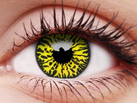 Yellow Eclipse Contact Lenses Online Sale