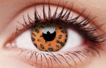 Yellow Leopard Contact Lenses Online now