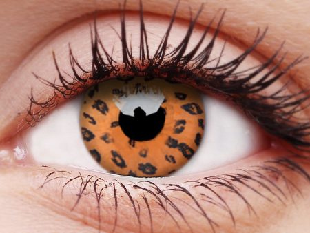 Yellow Leopard Contact Lenses Online now