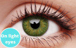 Green Contact Lenses 5 Pairs True Blend For Cheap