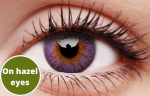 Violet Contact Lenses 5 Pairs True Blend Cheap