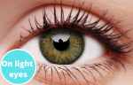 Grey Contact Lenses 5 Pairs True Blend For Cheap