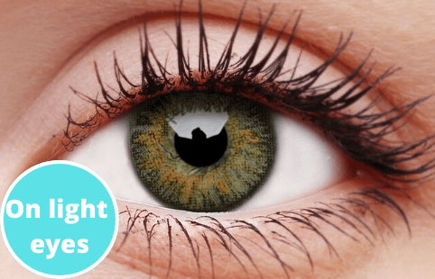 Grey Contact Lenses 5 Pairs True Blend For Cheap