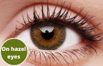 Grey Contact Lenses 5 Pairs True Blend For Cheap