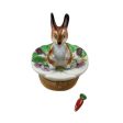 Brown Bunny on Flower Limoges For Discount